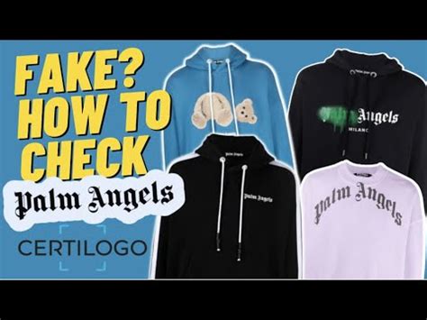 palm angels certilogo scam